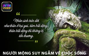 Người mộng suy ngẫm về cuộc sống