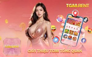 Tổng quan về nhà cái TG88